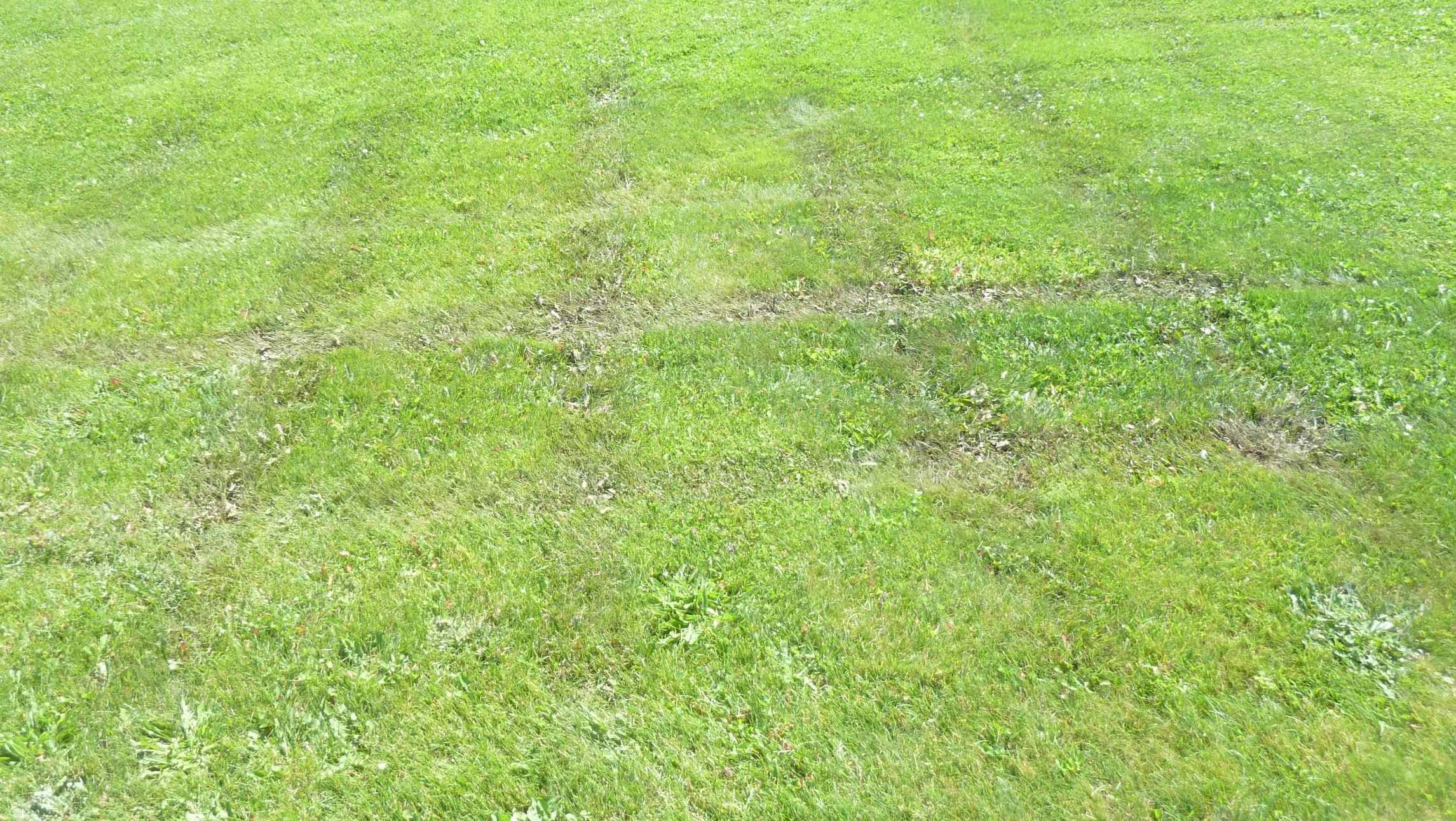 lawnwater518.JPG