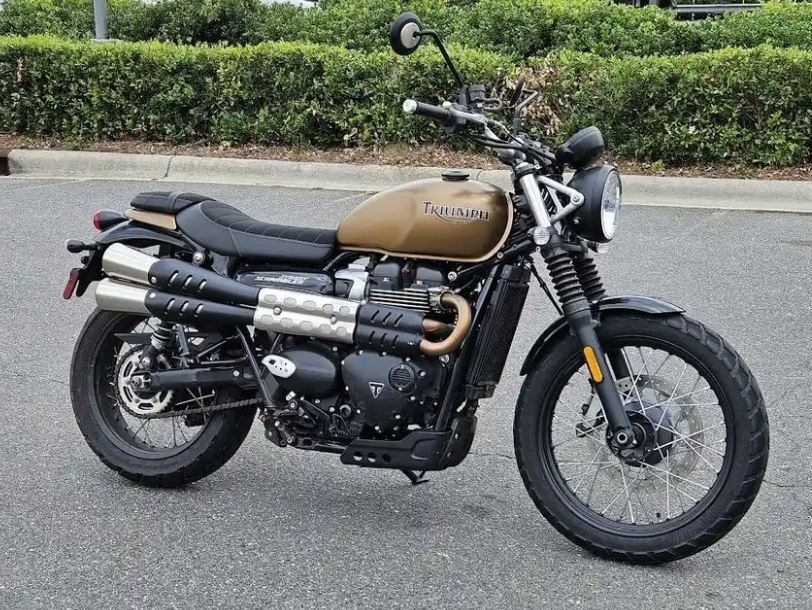 Lisa Scrambler1.JPG