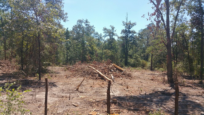 logging mess 2.jpg