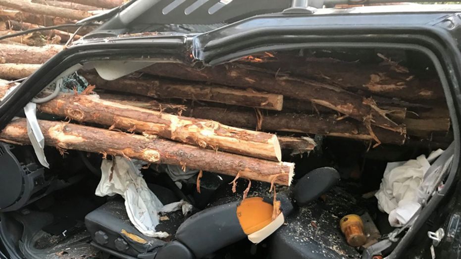 logs.jpeg