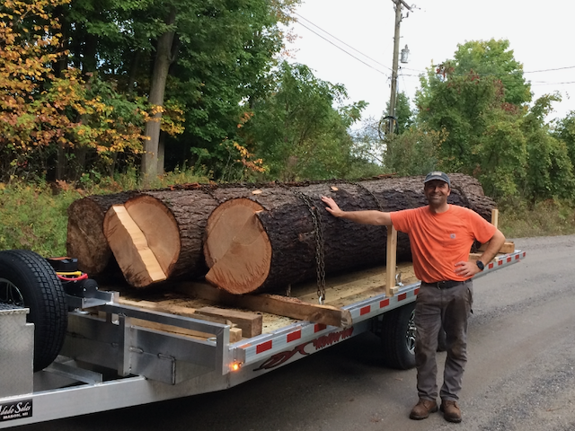 Logs on the Move.png