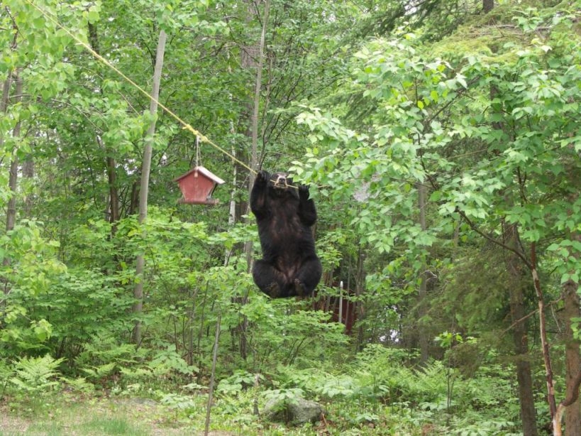 Long Lake 2005_7.jpg