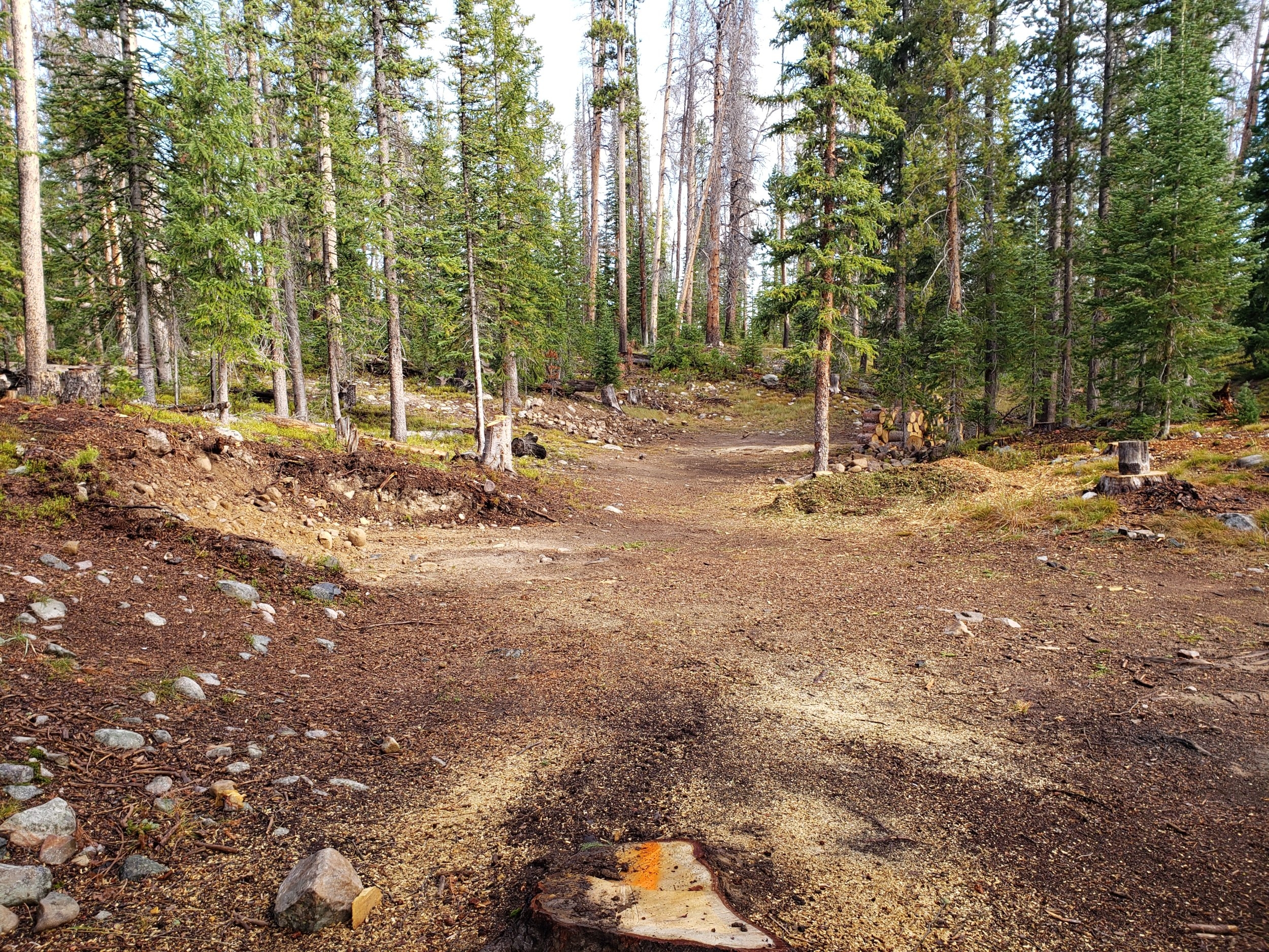 lower cabin.jpg