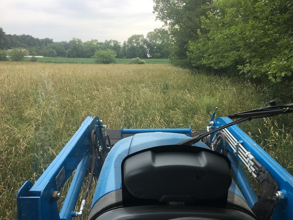 LS XR3135HC pasture mowing 2018.JPG