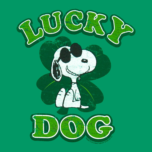 lucky-dog.jpg