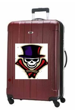 luggage8.jpg