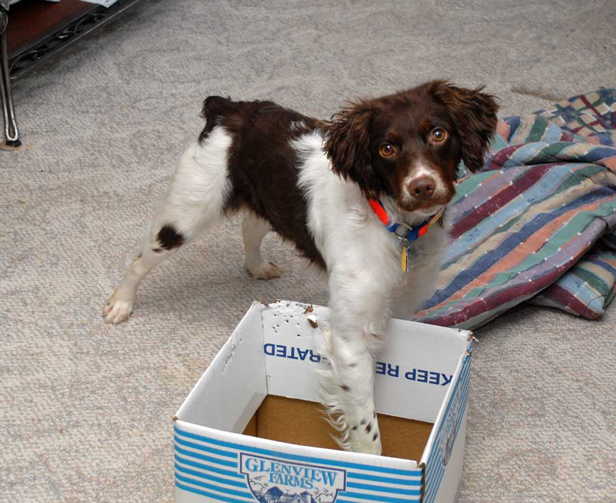 Lulu-jan20127A.jpg