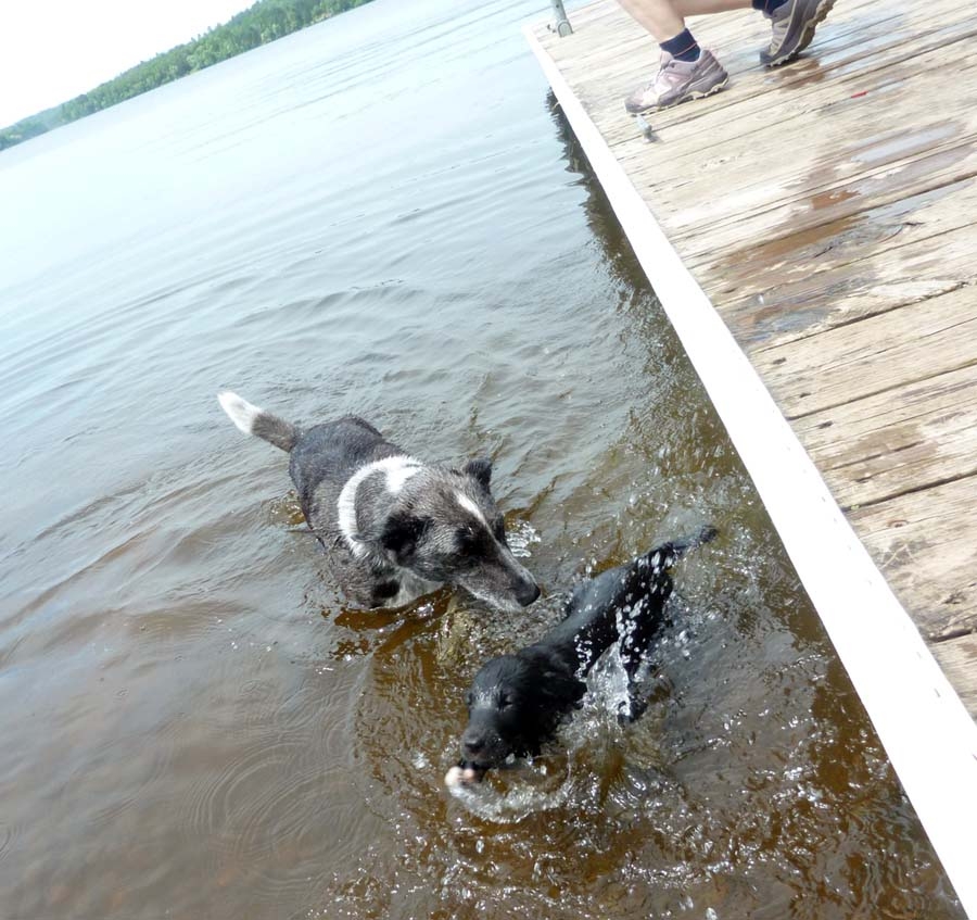 luluswims0864.jpg