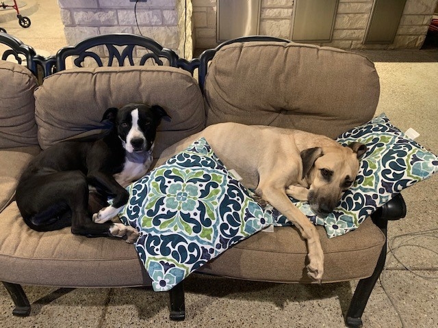 Mason and Minnie.jpg