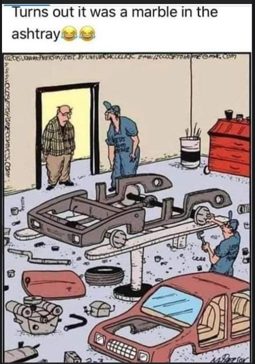 mefixing-gator.jpg