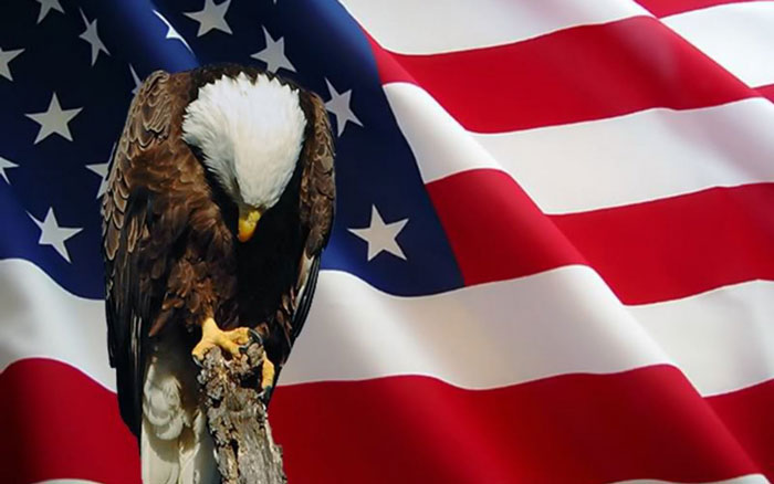 Memorial-Day_eagle.jpg