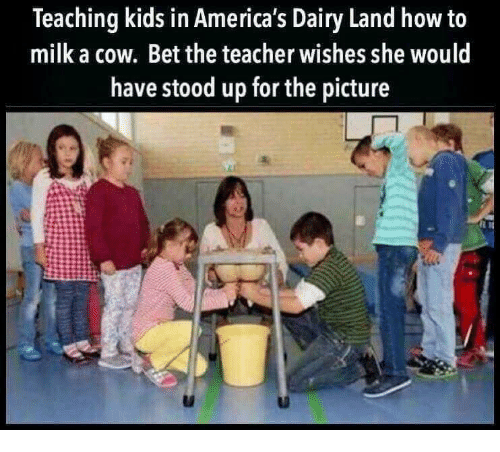 Milking the teacher.png