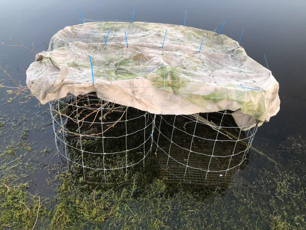Mk 1 refuge.JPG