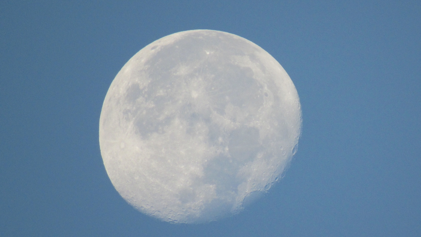 mornin-moon.jpg