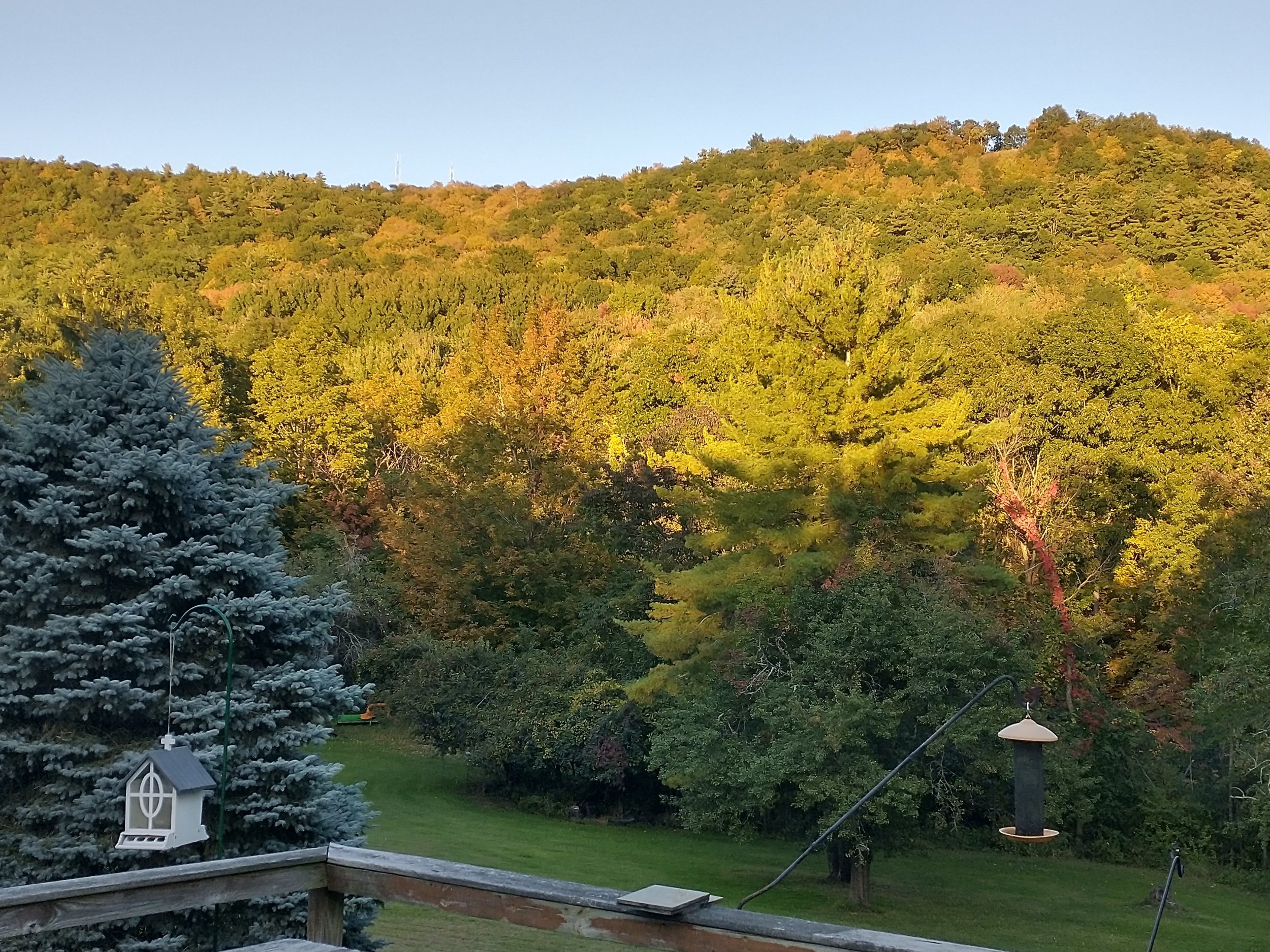 Mountain 1.jpg