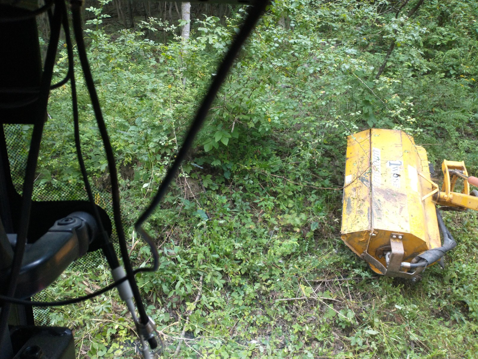 mowing 1.jpg