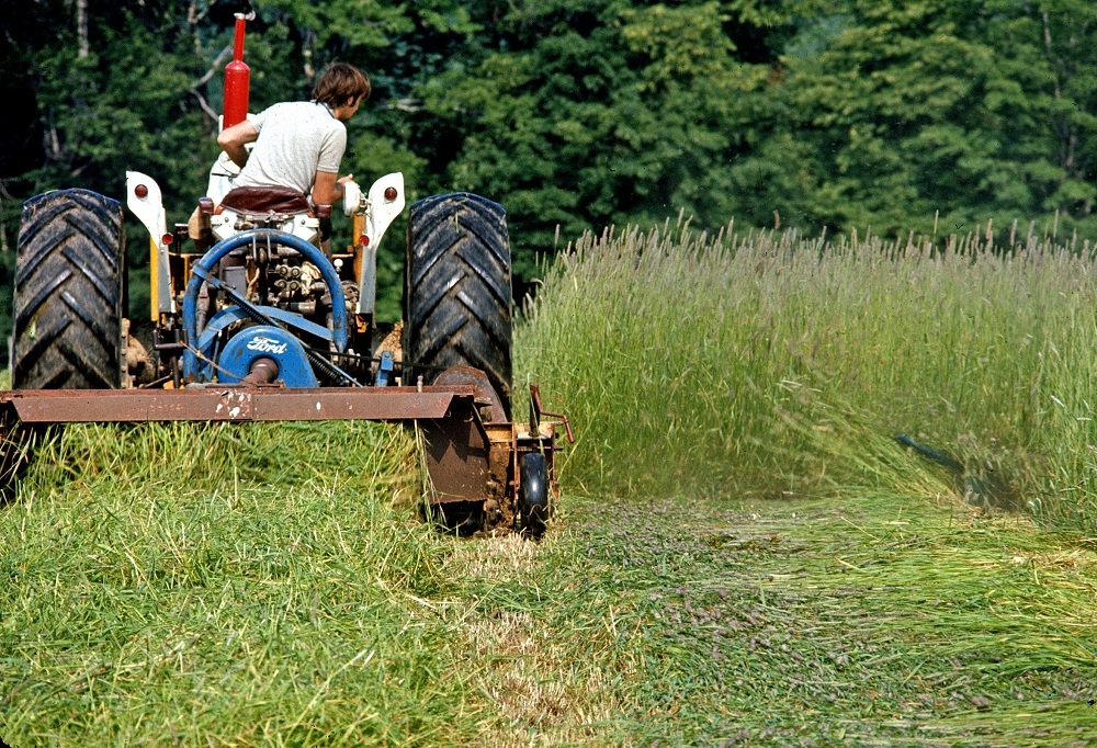 mowing conditioning 1972rtbn6-23-23.jpg