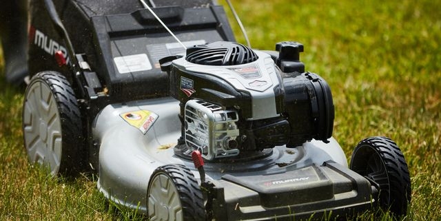 mowing-with-roy-0368-1646166222.jpg