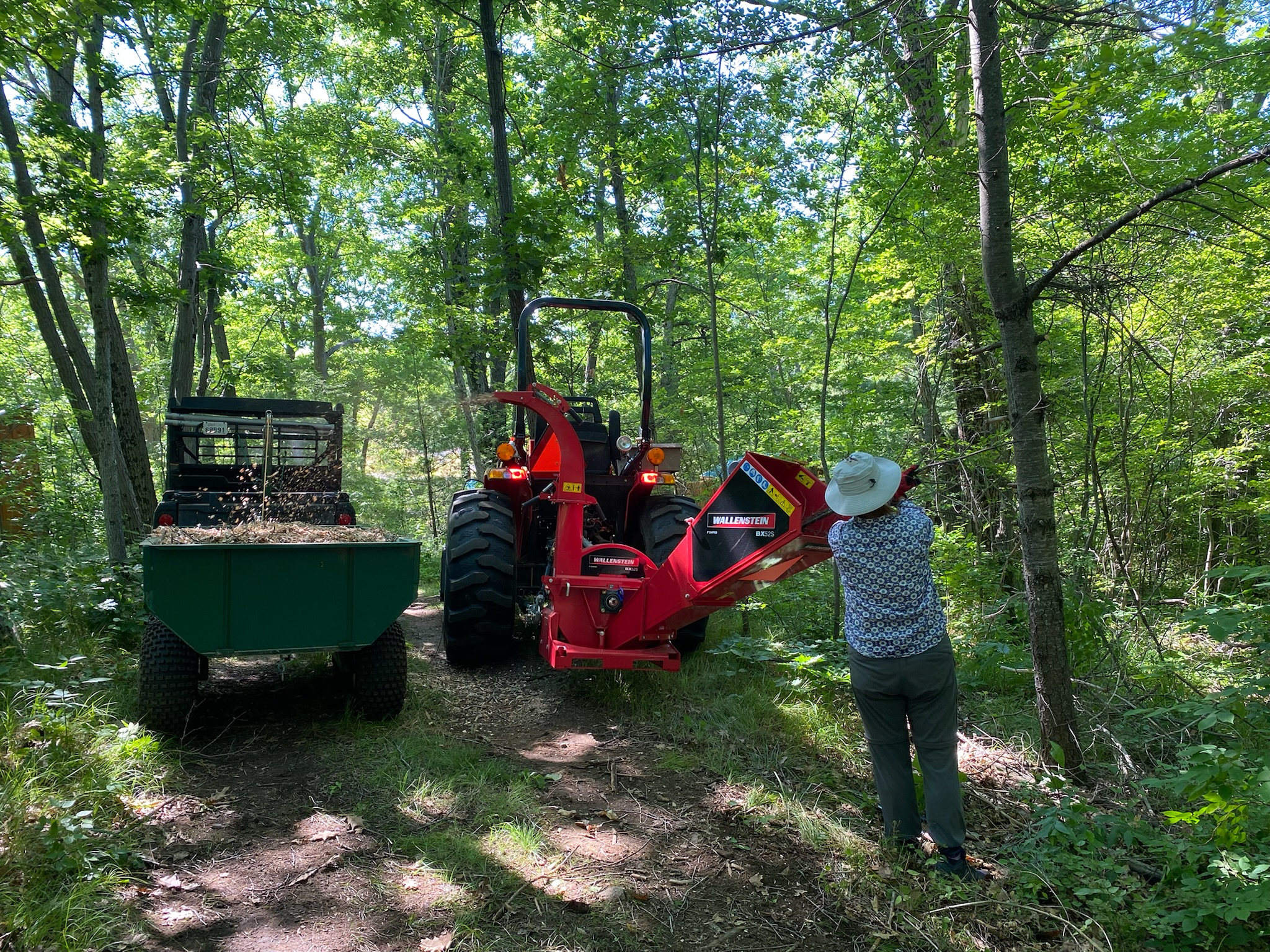 Mule Tractor chipping.jpg