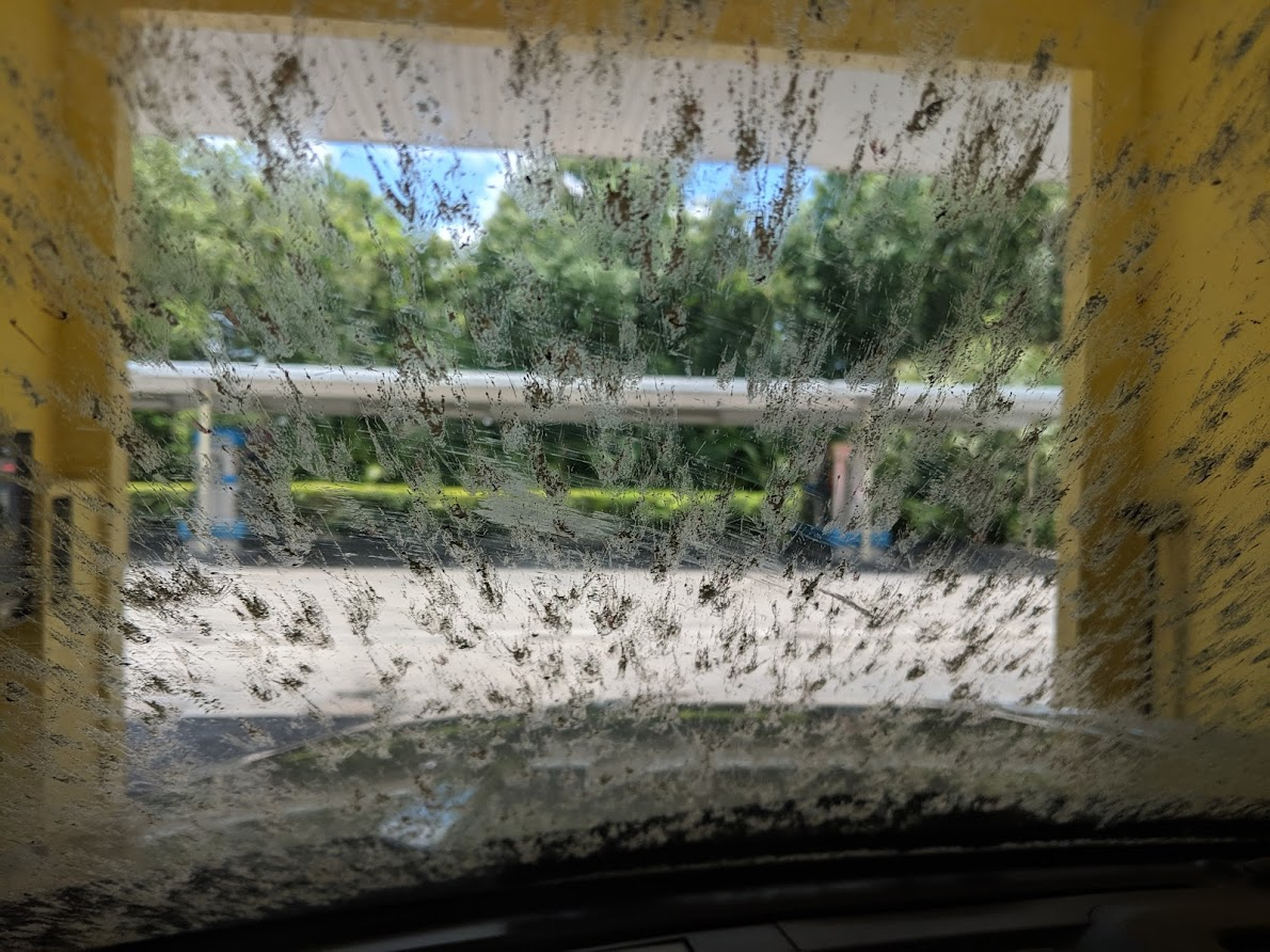 MVIMG_20190510_130227.jpg