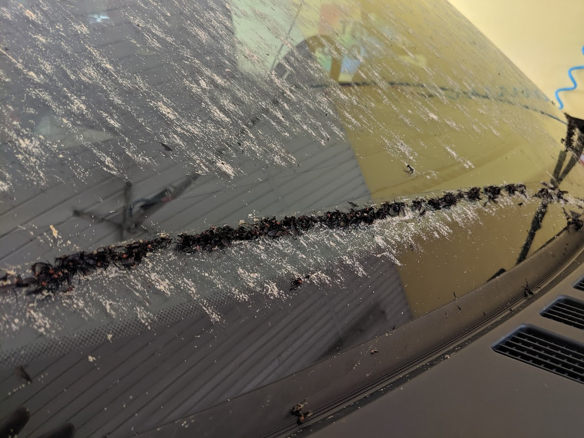 MVIMG_20190510_130338.jpg