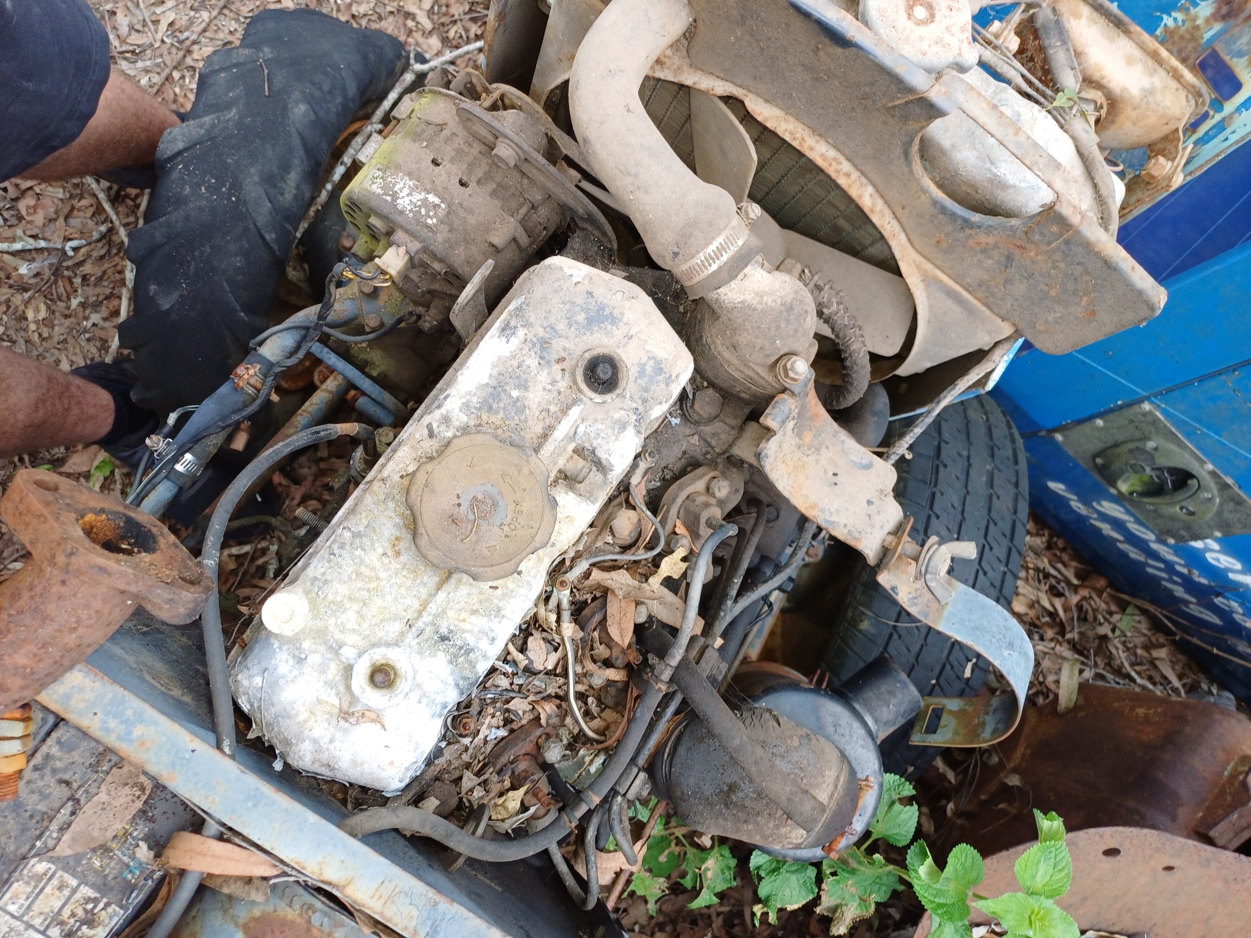 my tractor10.jpg