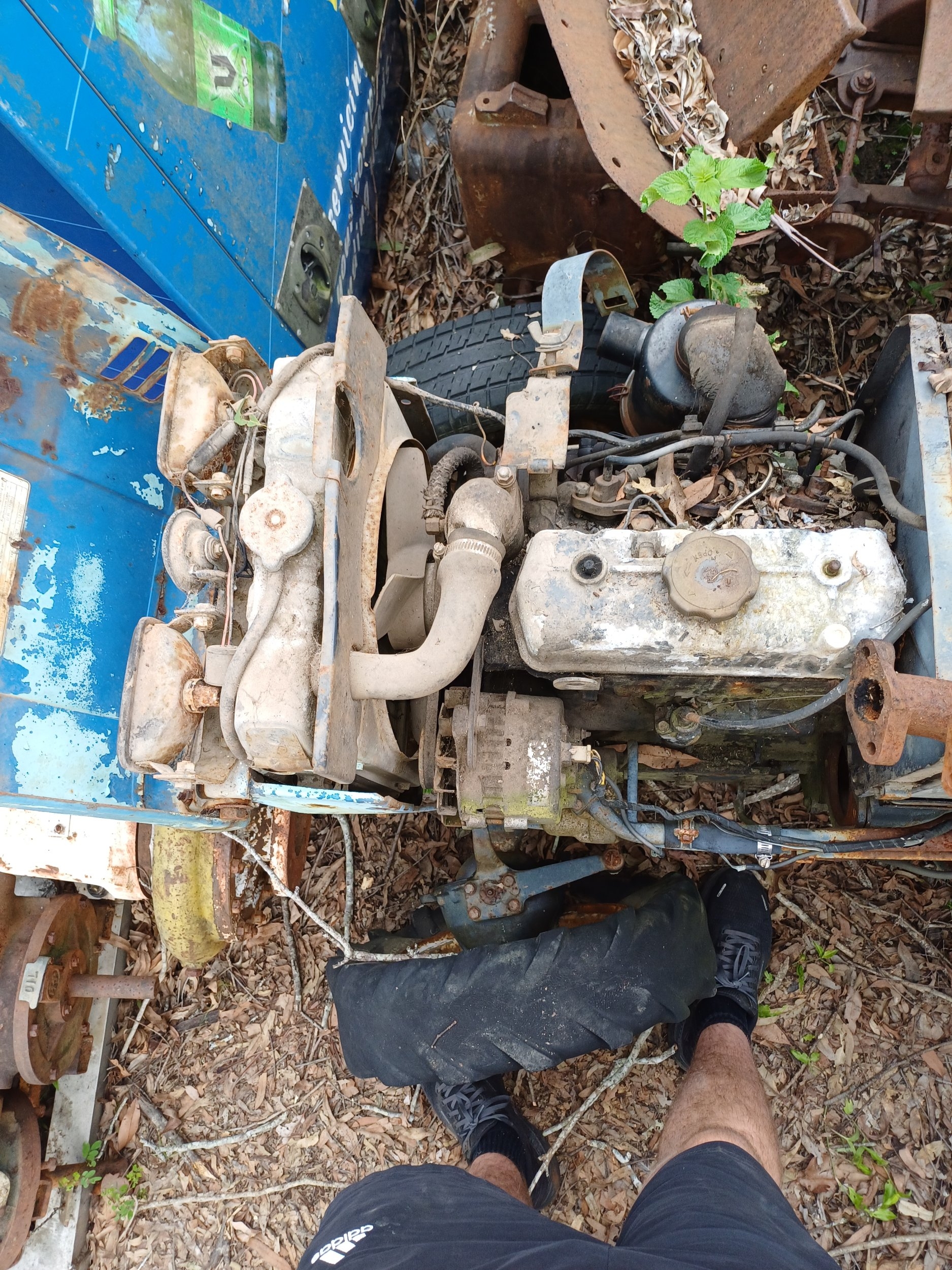 my tractor3.jpg