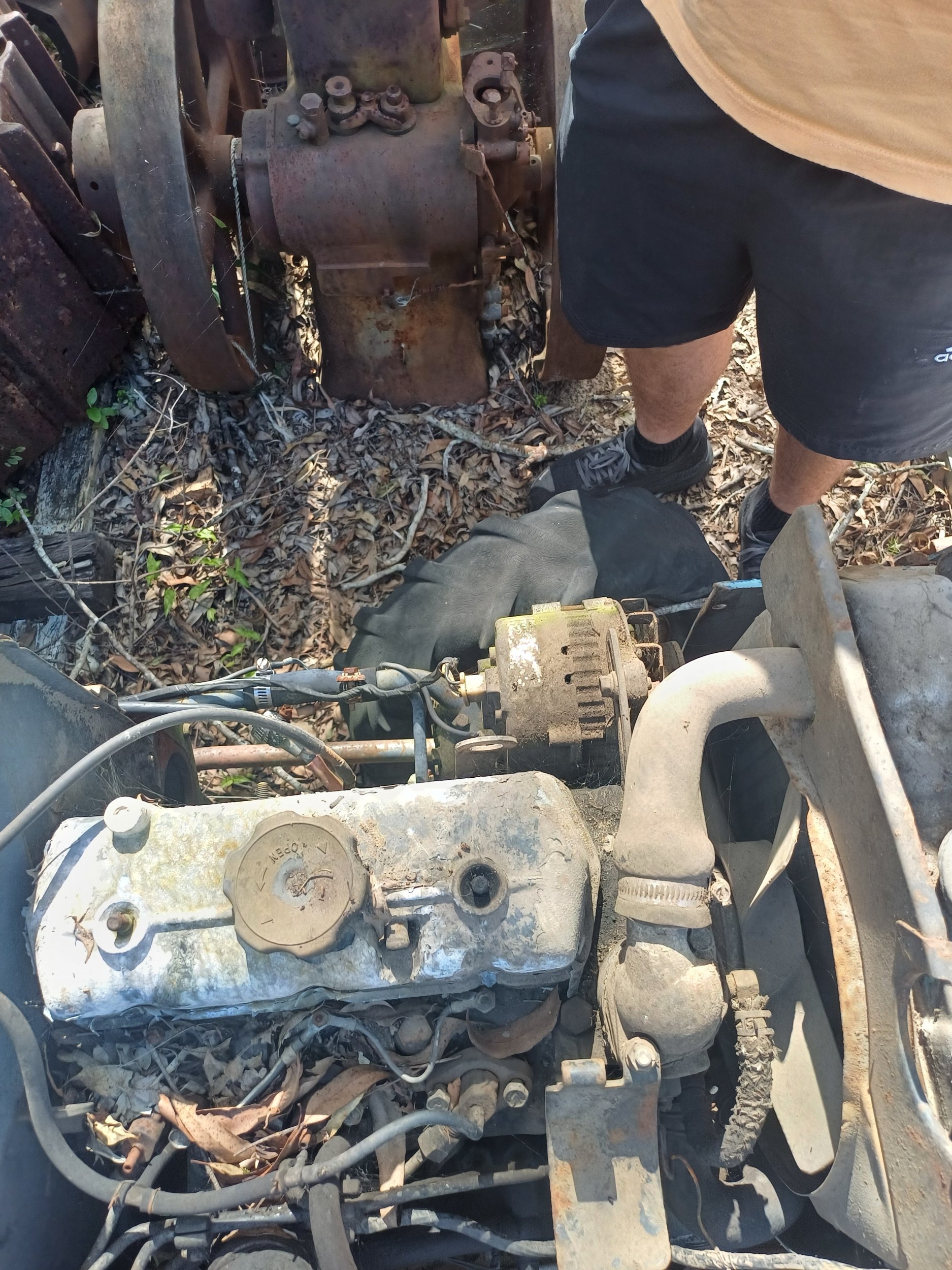 my tractor4.jpg
