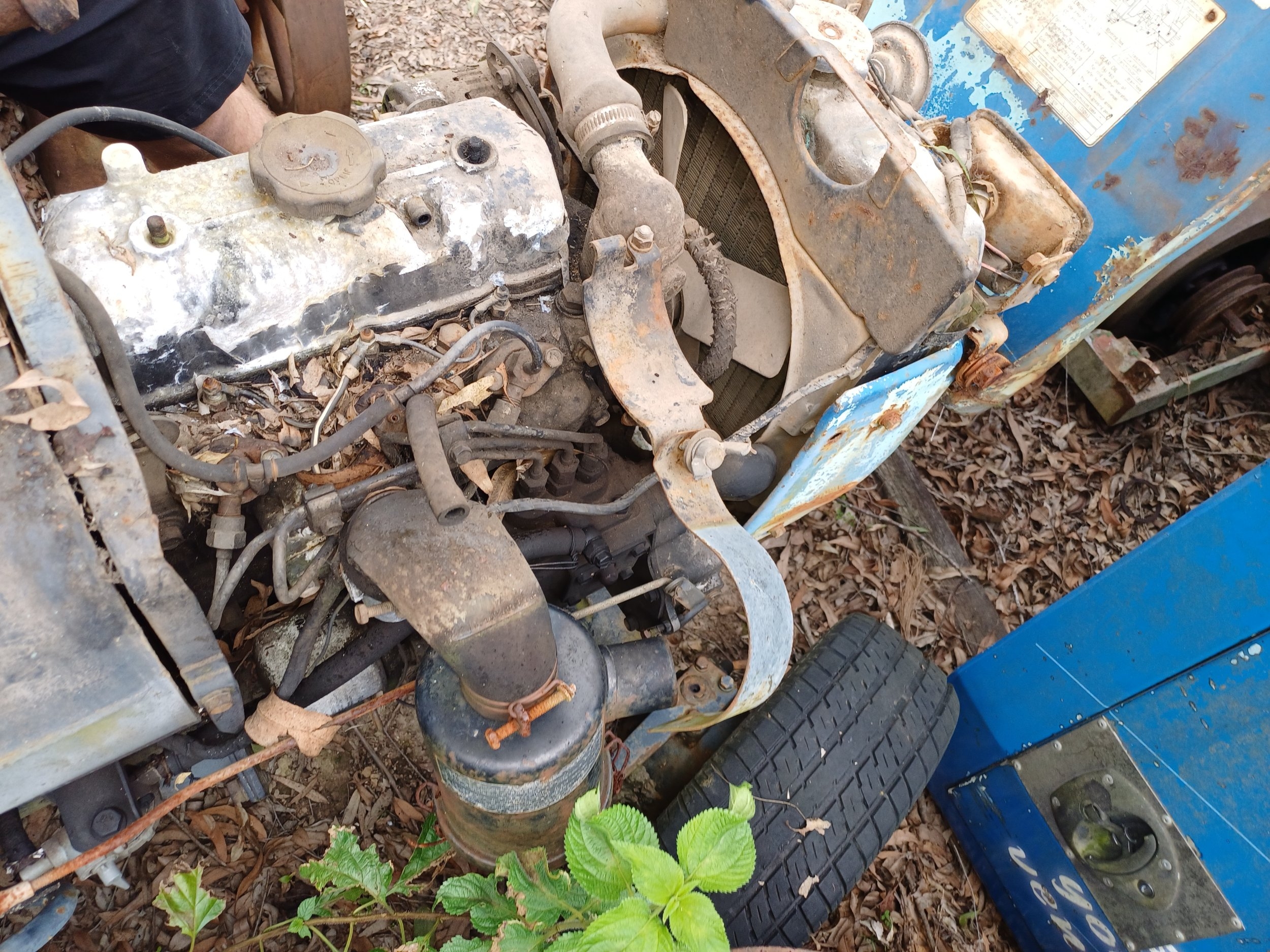 my tractor7.jpg
