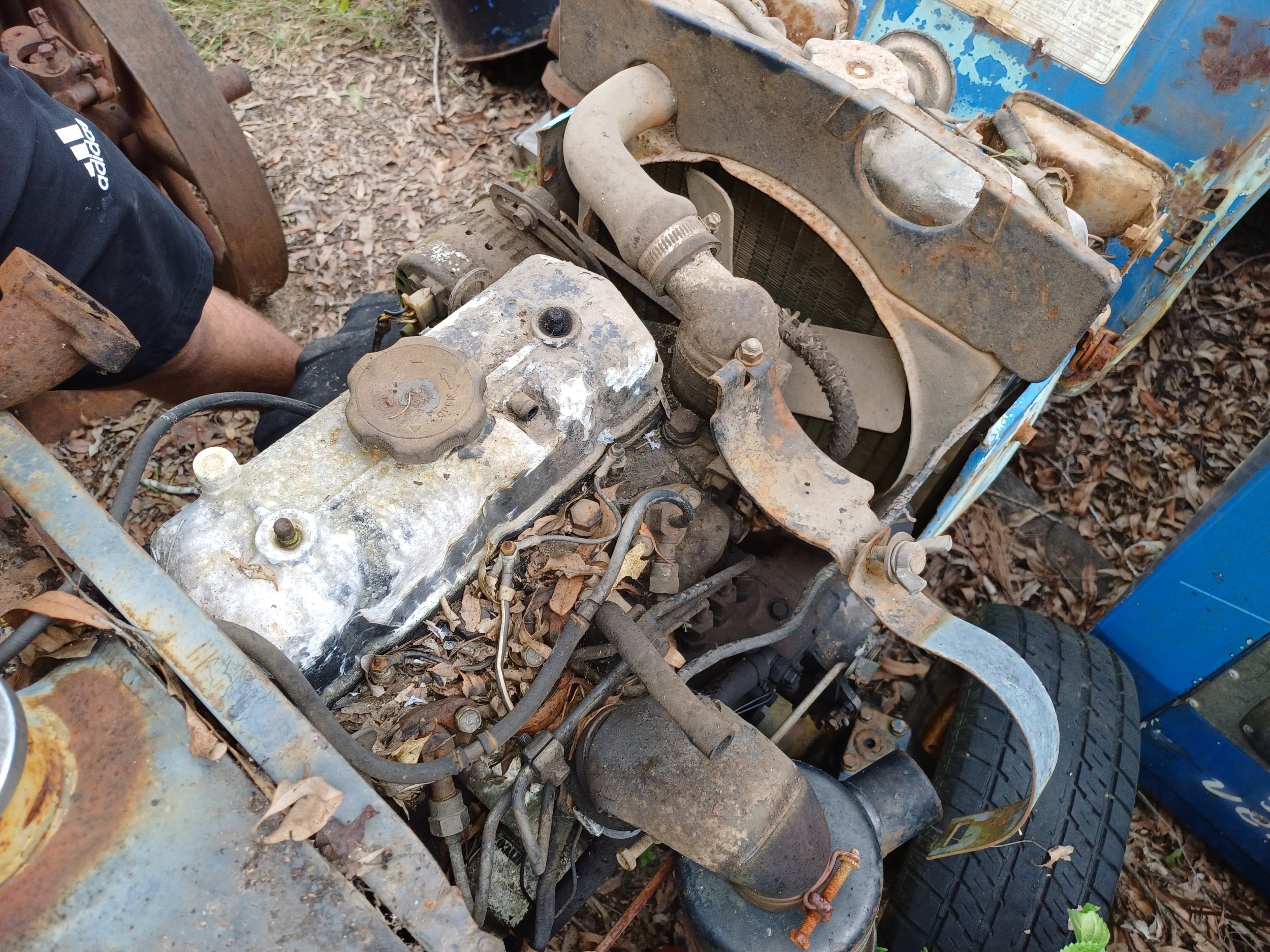my tractor9.jpg