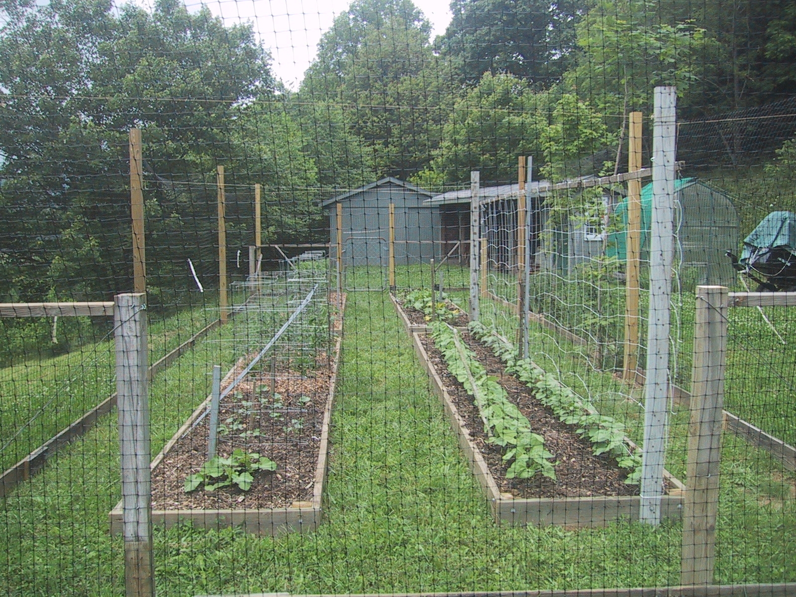 New Garden 4.JPG