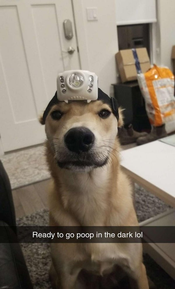 nitelite.jpeg