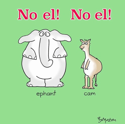 no-el-cam-ephant.jpg