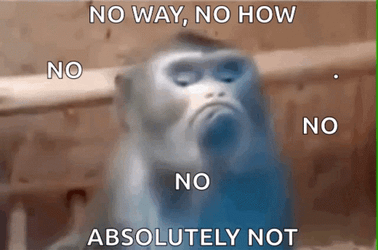 no-way-monkey-xrq0wmu2g21cpka7.gif