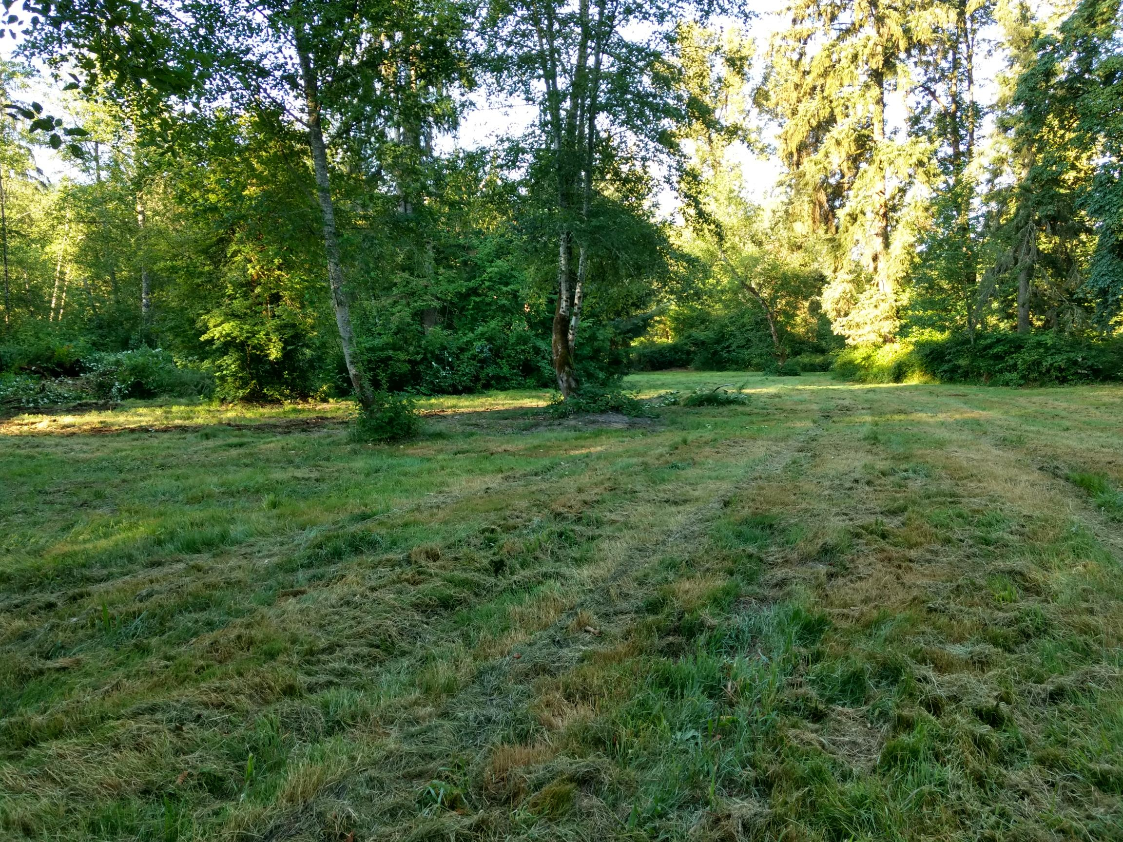 NoMoreRuts.jpg
