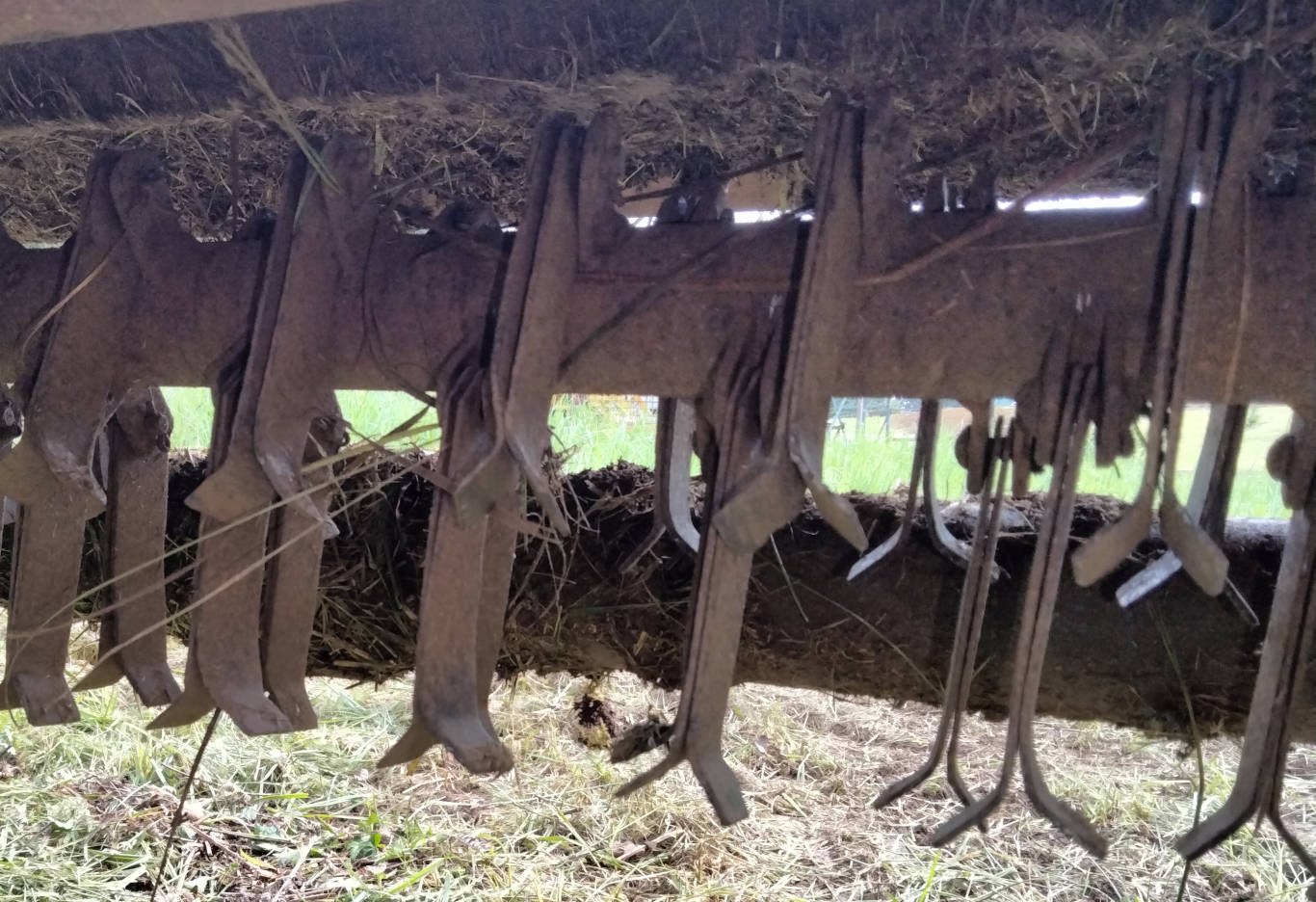 Old Flail Landini - 4.jpg