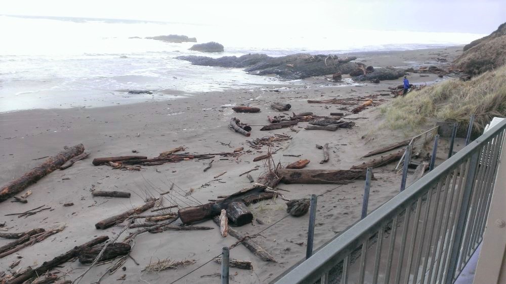 Oregon coast logs washed up against hotel (2).jpg