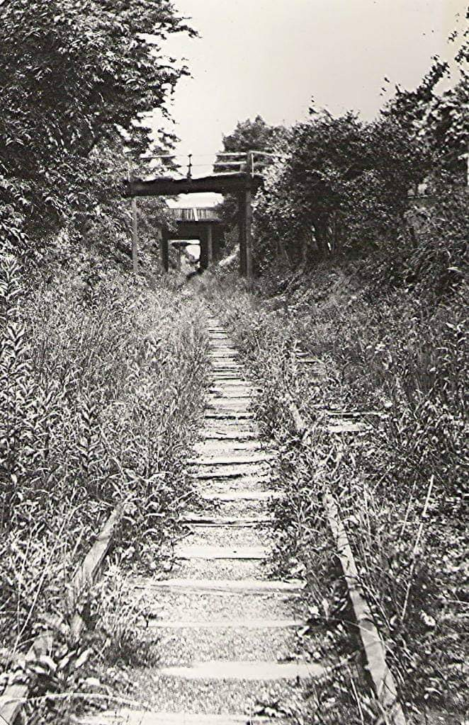 ORW_tracks_.jpeg