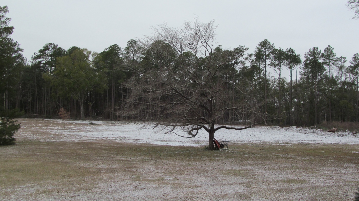 outer-field.jpg