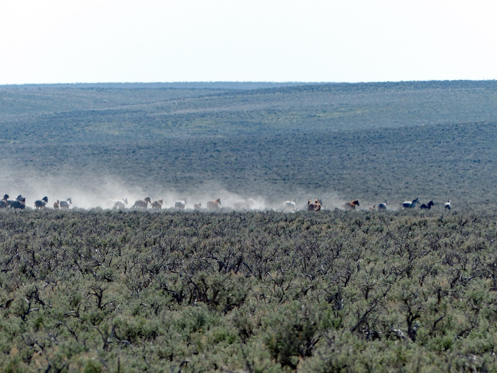 P1000250eptbnr.jpg