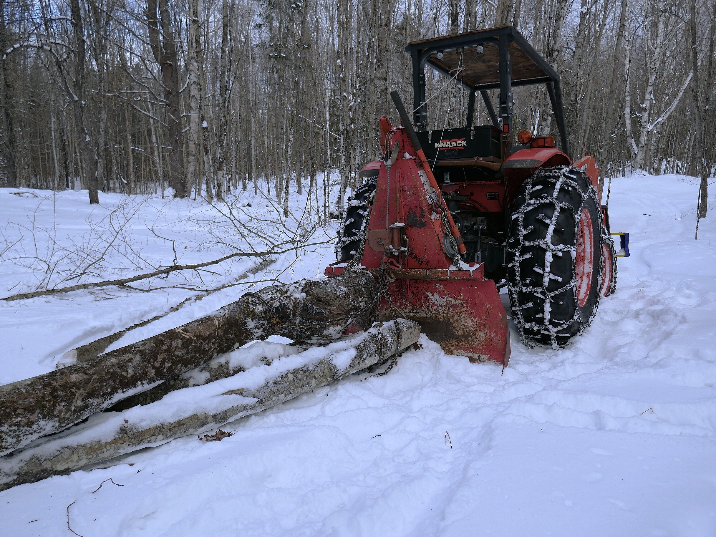 P1000370-2.JPG