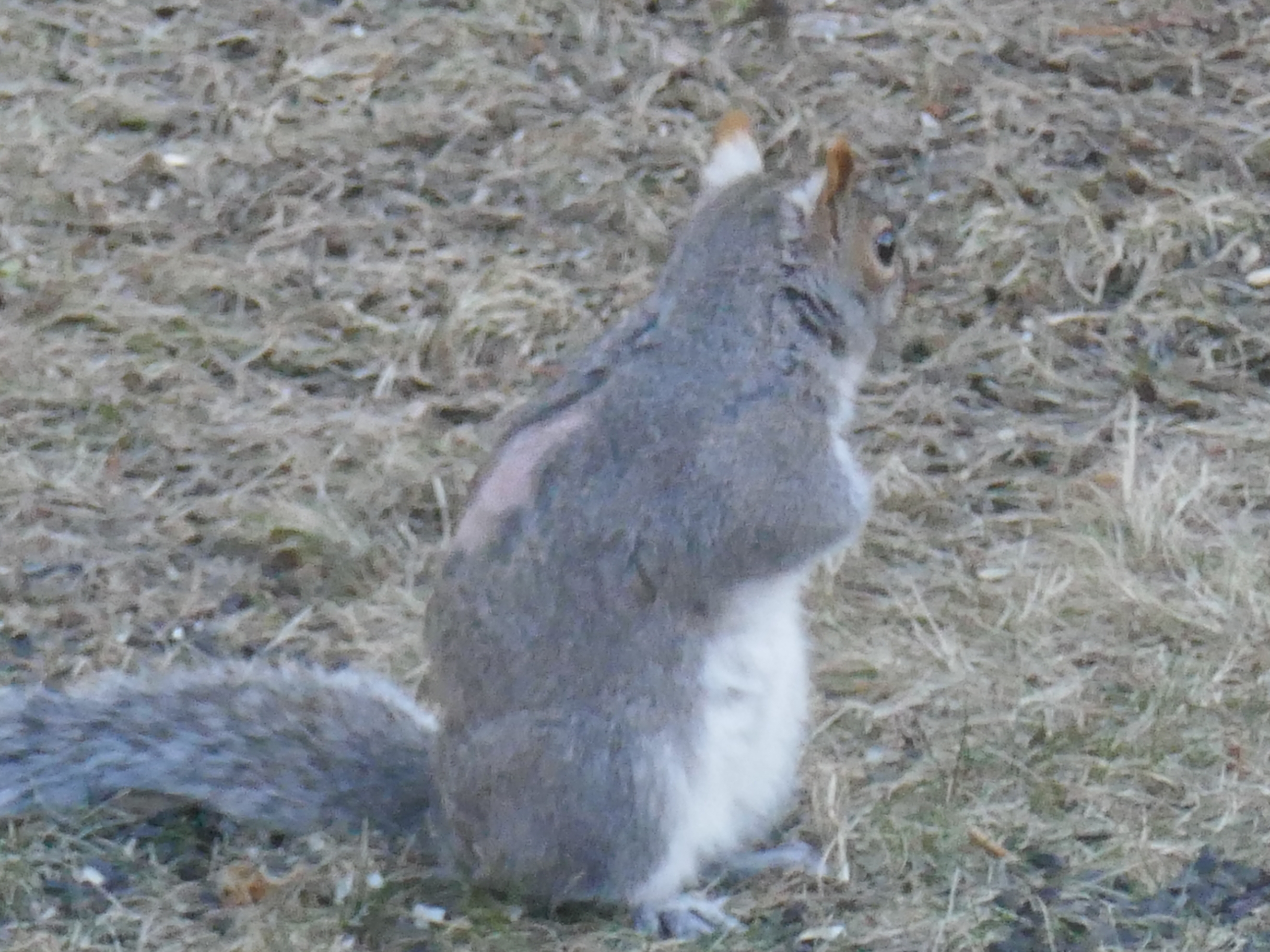 P1000465.JPG