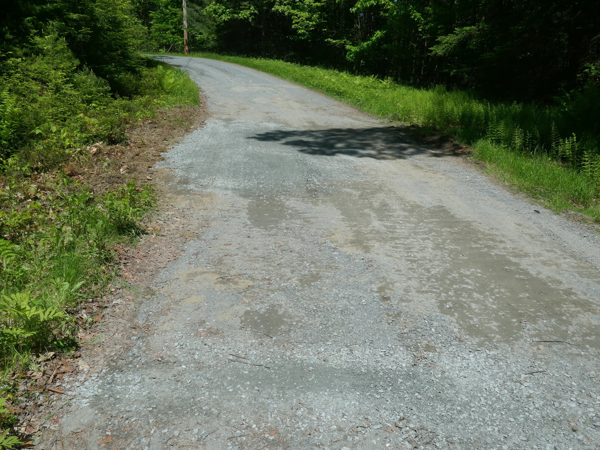 P1000561-2.JPG