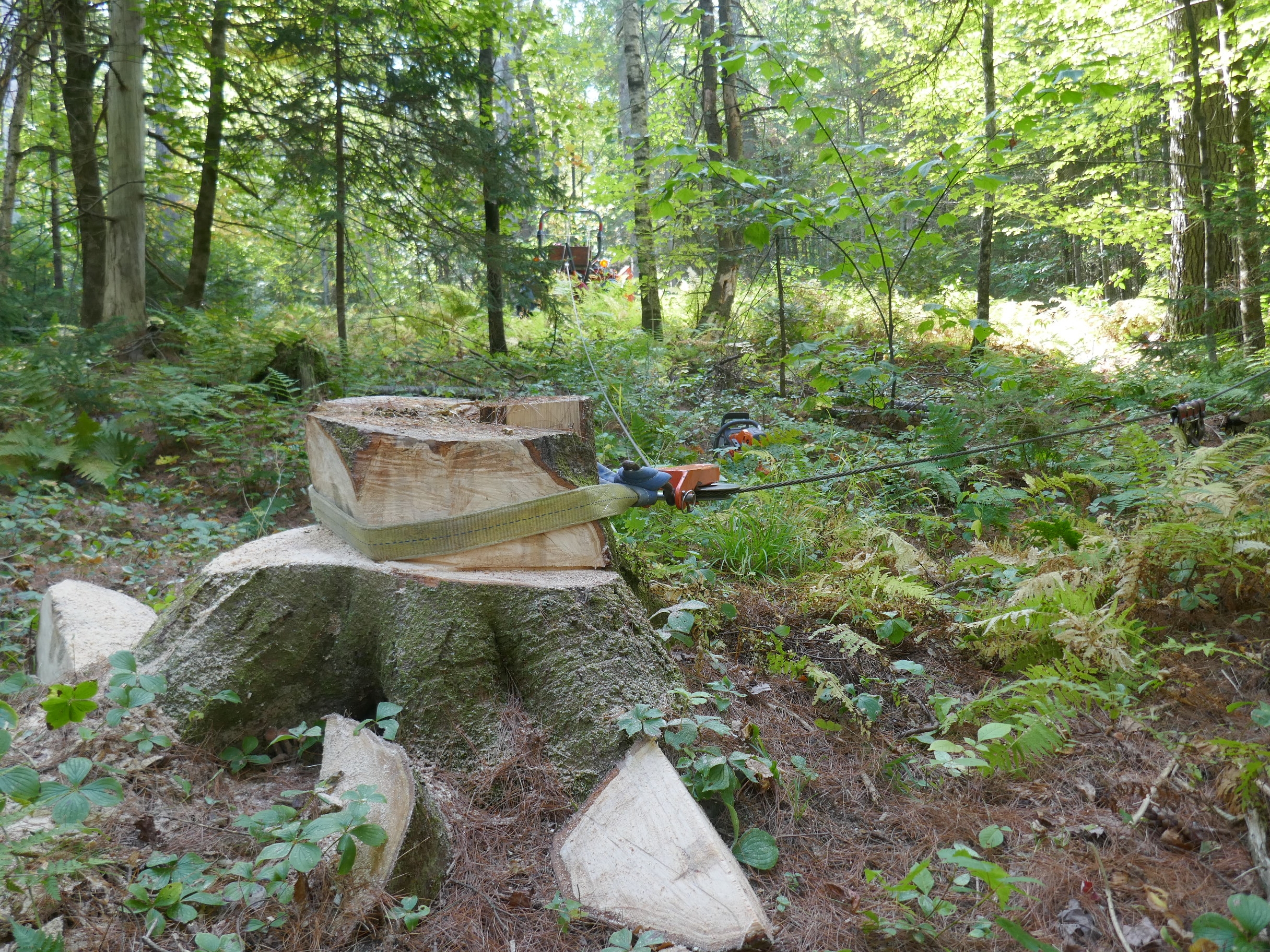 P1000723.JPG