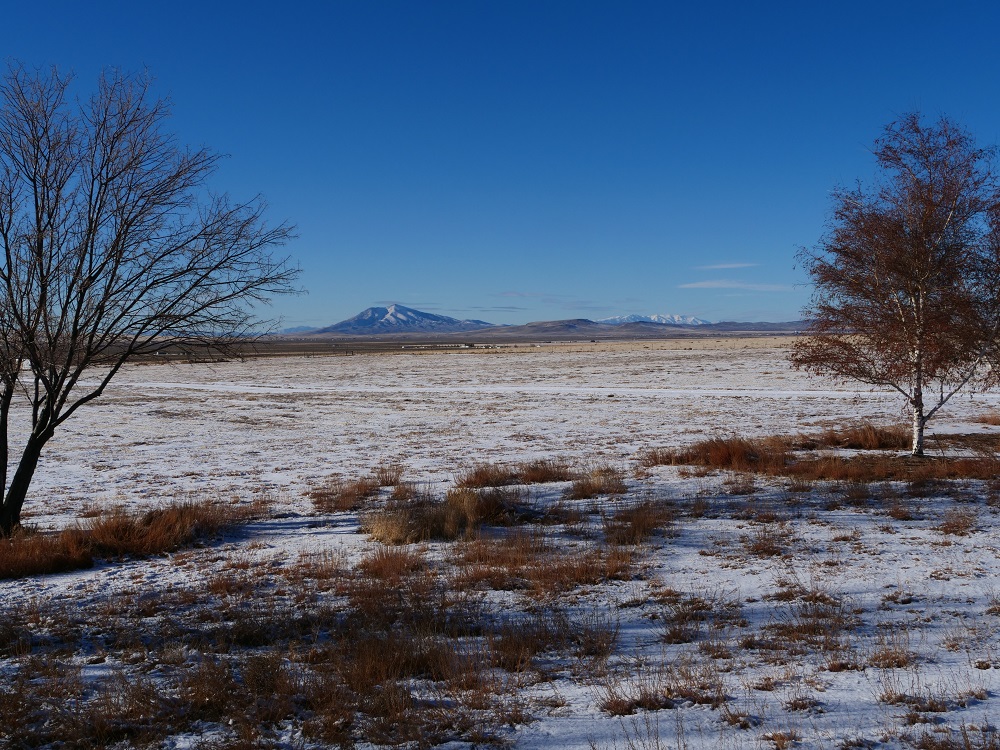 P1002798r.jpg
