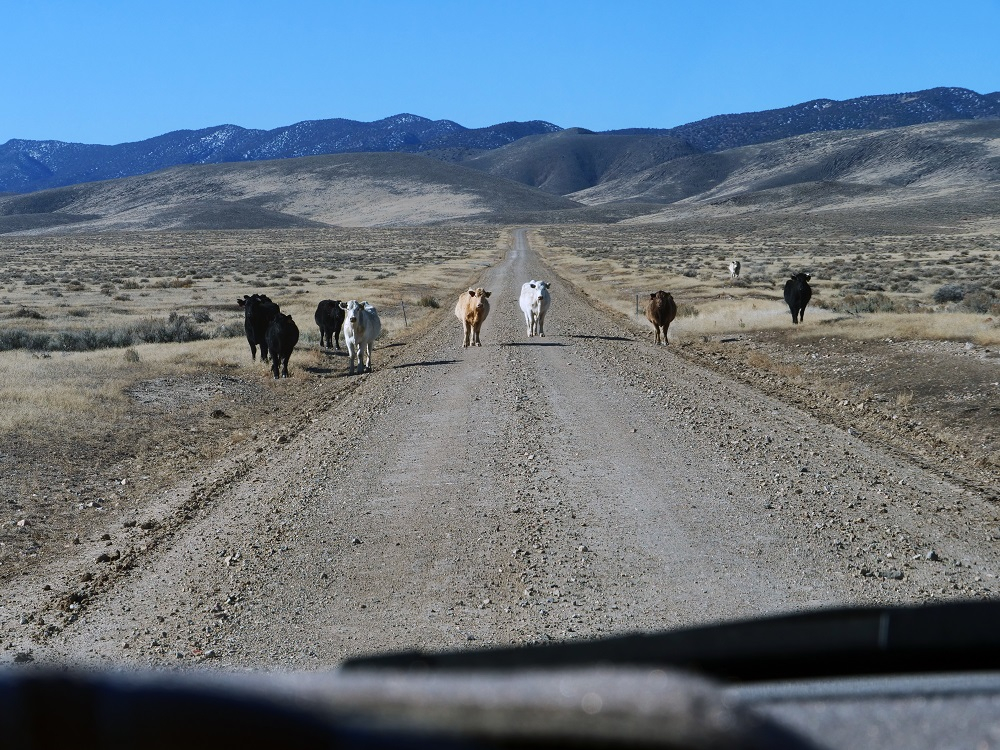 P1003256epr.jpg
