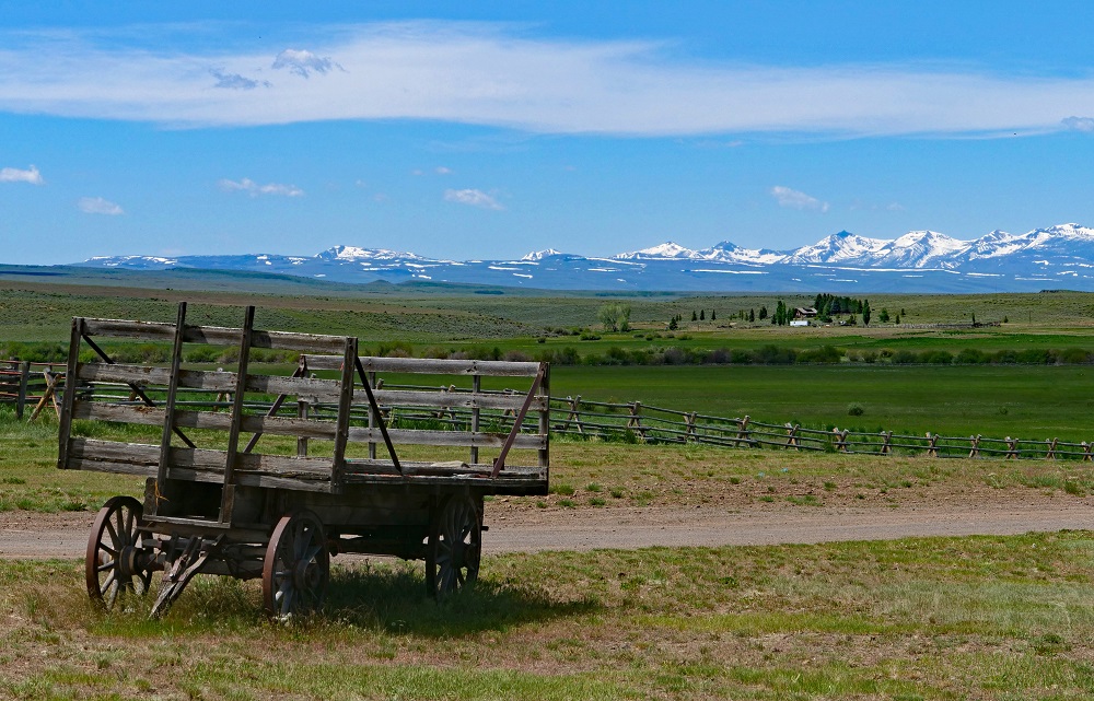 P1004269epr.jpg