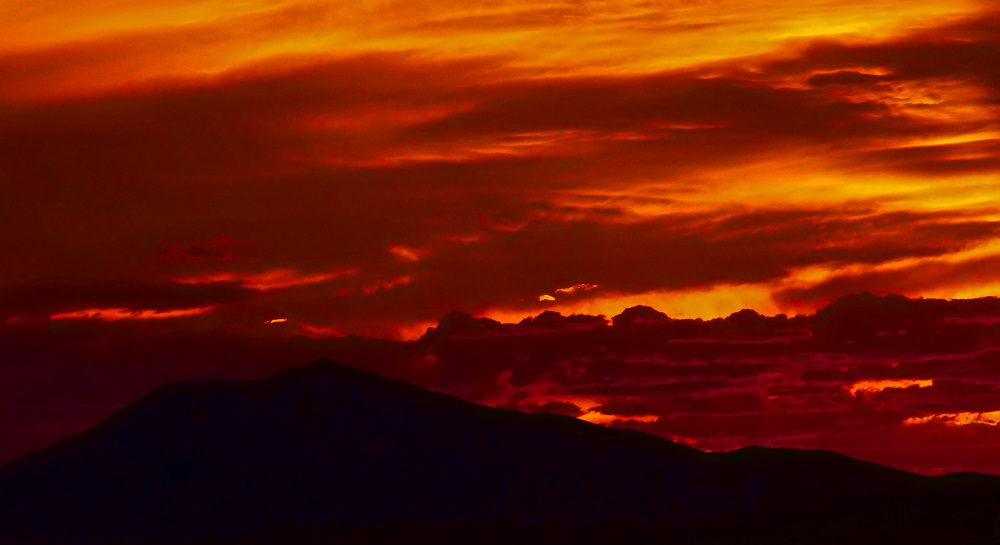 P1004385epr.jpg