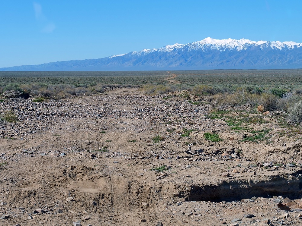 P1006774ertbn4-7-24.jpg