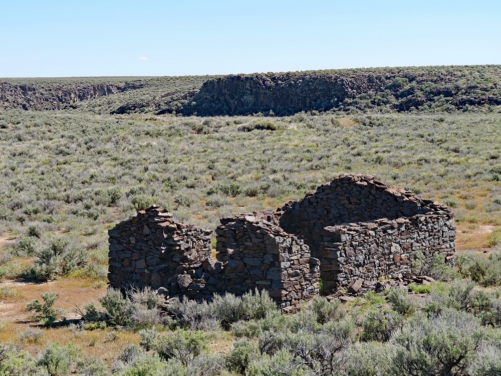 P1007364ertbn5-18-24.jpg